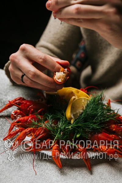 Чайхана Ташкент
