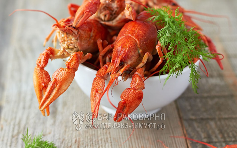 Раки сливочные в Сочи Раки сливочные в Сочи