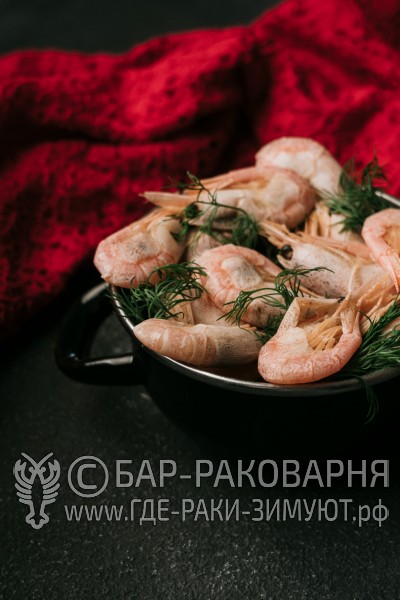 Раковарня в Сочи