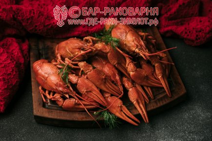 Раковарня в Сочи