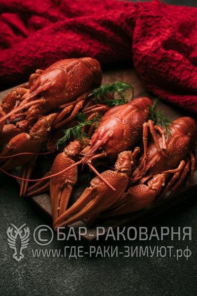 Раковарня в Сочи