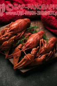 Раковарня в Сочи
