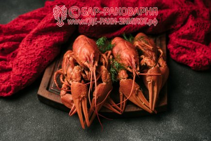 Раковарня в Сочи