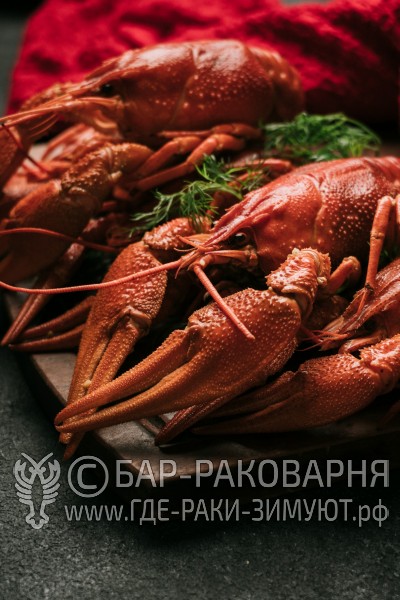 Раковарня в Сочи