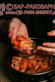 Раки Сочи на Транспортной