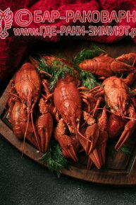 Раковарня в Сочи