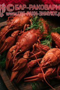 Раковарня в Сочи