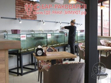 Раковарня в Сочи