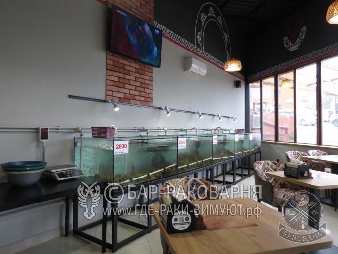 Раковарня в Сочи