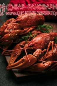 Раковарня в Сочи