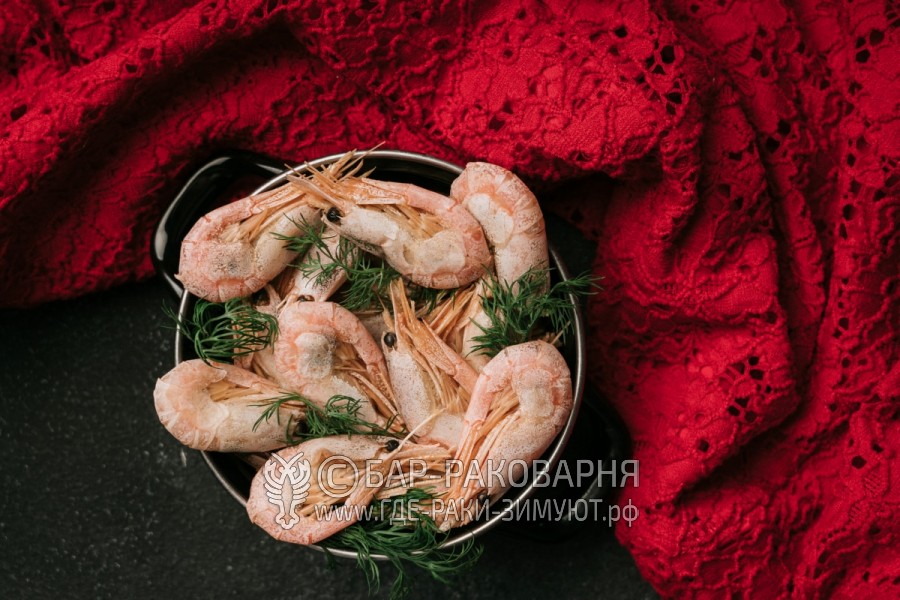 Раковарня в Сочи