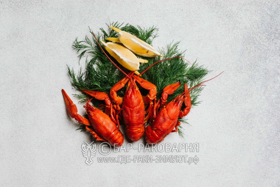 Чайхана Ташкент