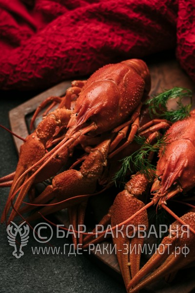 Раковарня в Сочи
