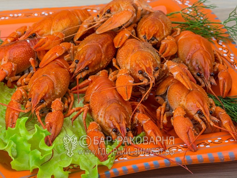 Доставка раков по Сочи