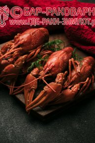 Раковарня в Сочи