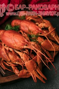Раковарня в Сочи