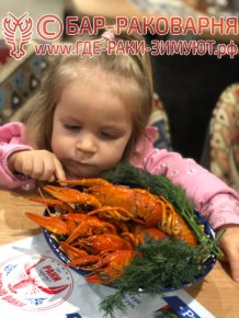 Раки Сочи на Транспортной