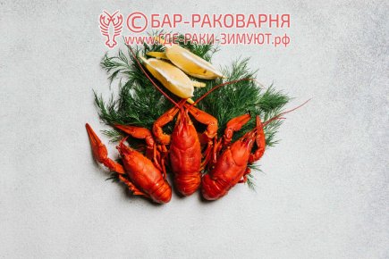 Раки Сочи на Транспортной