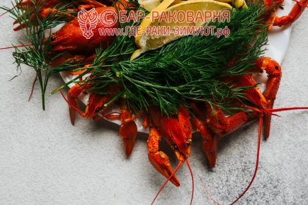 Раки Сочи на Транспортной