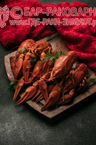 Раковарня в Сочи