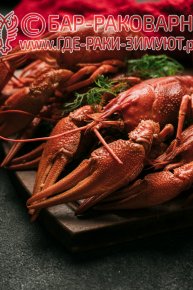 Раковарня в Сочи