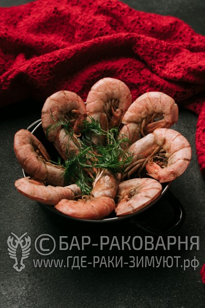 Раковарня в Сочи