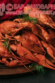Раковарня в Сочи