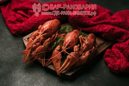 Раковарня в Сочи