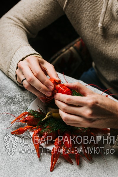 Чайхана Ташкент