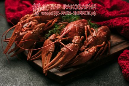 Раковарня в Сочи