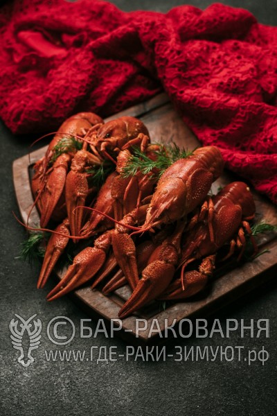 Раковарня в Сочи