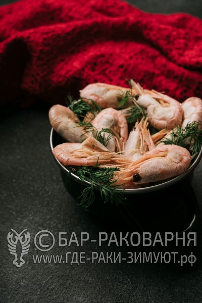 Раковарня в Сочи