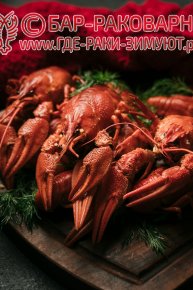 Раковарня в Сочи