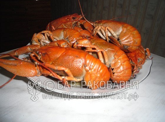 Вареные раки в Сочи