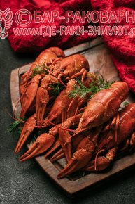 Раковарня в Сочи