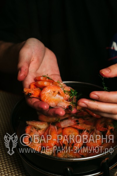 Чайхана Ташкент